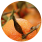 Citrus